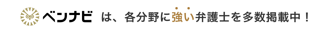 ベンナビは、各分野に強い弁護士を多数掲載中!