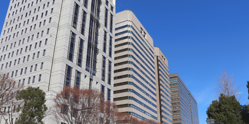 日本弁護士連合会とは?役割や相談できること、弁護士検索サービスについても解説